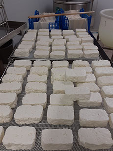 challoumi challoumi